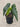 Begonia Polka Dot - Plant Parent.101Plant Parent.101 Plant Parent.101