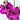 Phalaenopsis Orchid - Potted - Plant Parent.101FlowersPlant Parent.101 Plant Parent.101Single Stem