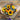 A Moment In The Sun - Plant Parent.101FlowersFlorist CornerPlant Parent.101