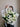 Lilies Bouquet - Plant Parent.101FlowersFlorist CornerPlant Parent.101With Vase