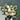 Daily Bloom Designer's Choice Flower Arrangement - Plant Parent.101FlowersFlorist CornerPlant Parent.101