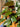 Anthurium Black Beauty - Plant Parent.101 Indoor PlantPlant CornerPlant Parent.101 25cmWith Planter