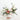 Image 9 - Plant Parent.101 FlowersFlorist CornerPlant Parent.101