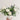 Image 10 - Plant Parent.101 FlowersFlorist CornerPlant Parent.101