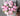 Forever Peonies Bouquet - Plant Parent.101 FlowersFlorist CornerPlant Parent.101