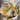 Lemonds & Limes - Plant Parent.101 FlowersFlorist CornerPlant Parent.101