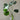 Hydro Monstera - Plant Parent.101Hydro PlantsPlant CornerPlant Parent.101Without Vase