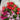 Trinity Tulip Bouquet - Plant Parent.101 FlowersFlorist CornerPlant Parent.101