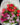 Trinity Tulip Bouquet - Plant Parent.101 FlowersFlorist CornerPlant Parent.101