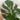 Monstera - Plant Parent.101Indoor PlantPlant CornerPlant Parent.101
