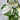 Pothos - Plant Parent.101Plant Parent.101 Plant Parent.101