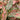 Aglaonema - Plant Parent.101Plant Parent.101 Plant Parent.101125mm